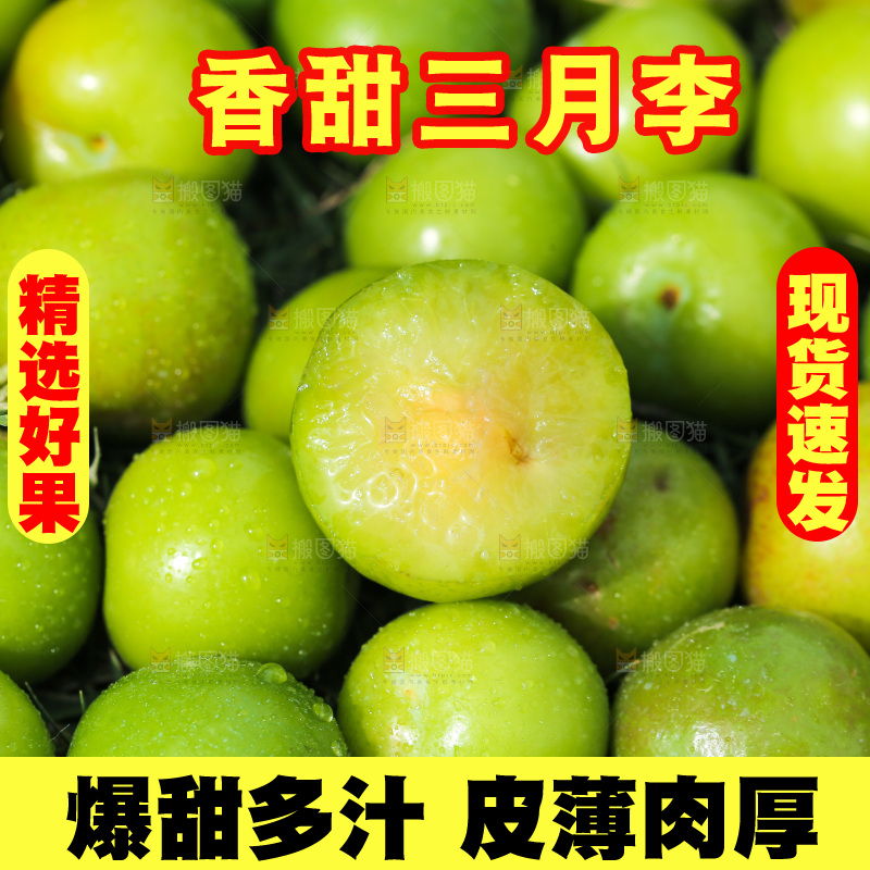 三月李纹理