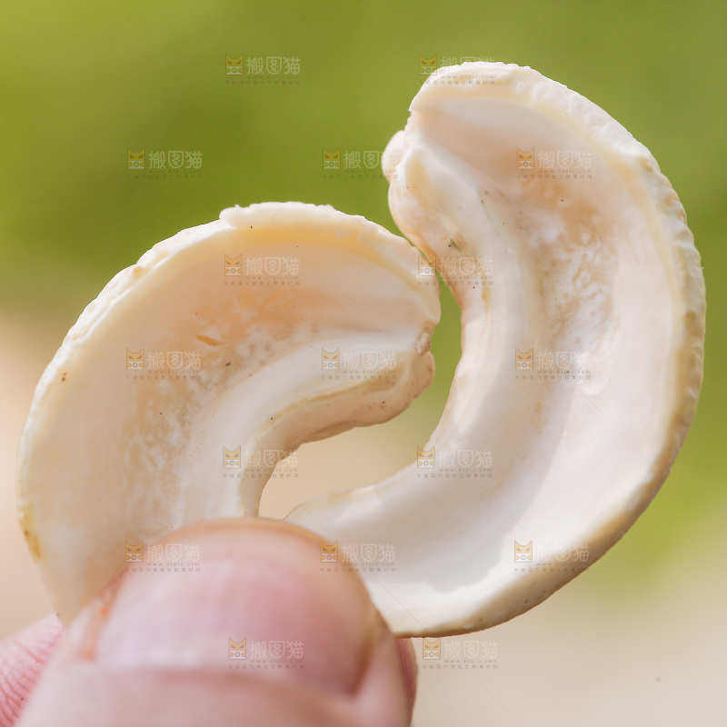 手里拿着腰果仁