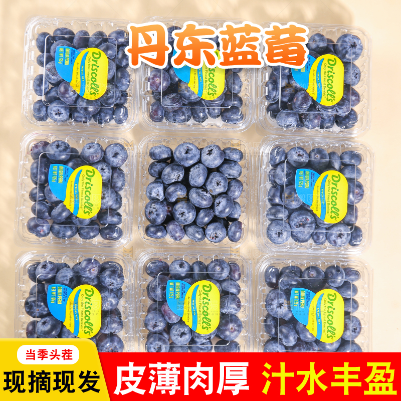 浅底上的新鲜蓝莓