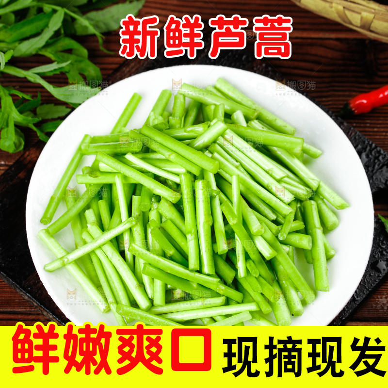 木底上的江西藜蒿