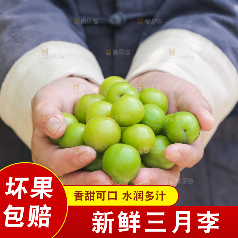 手里捧着三月李
