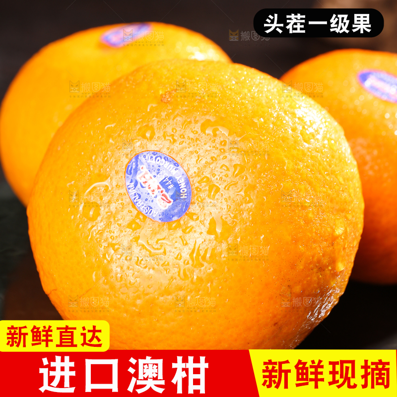 黑底上摆放着的澳柑