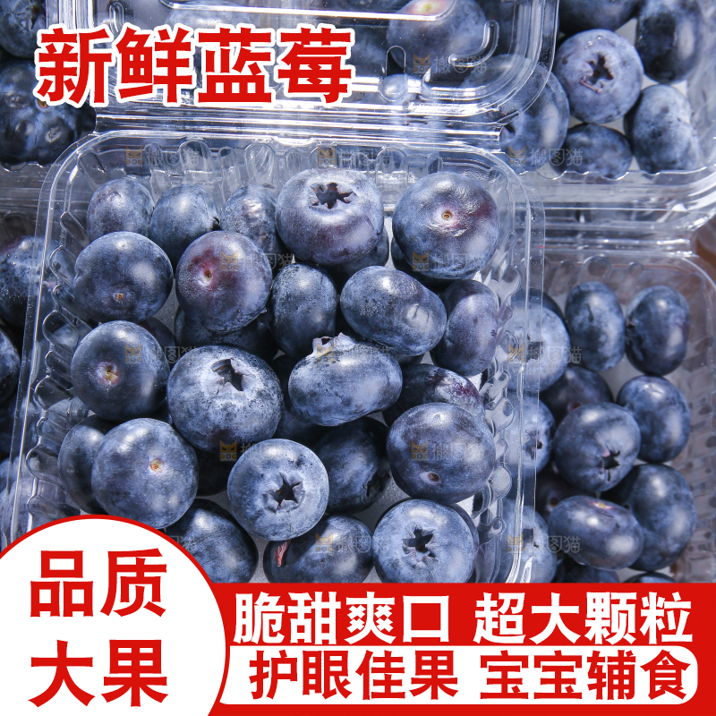 黑底上摆着的新鲜蓝莓