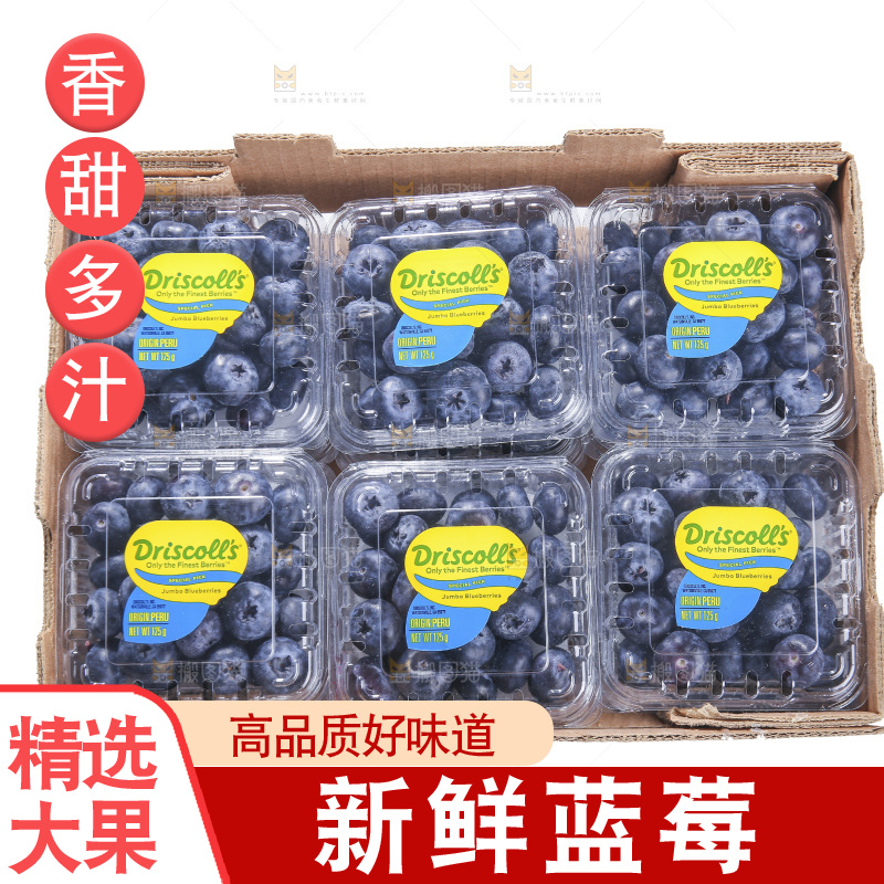 白底上放着的新鲜蓝莓