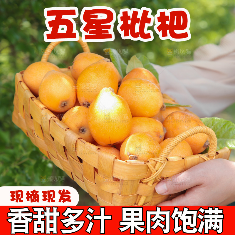 手里端着一篮枇杷