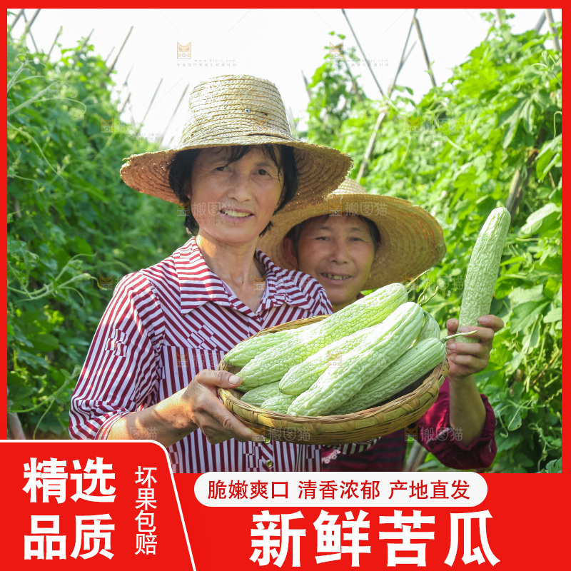 手里拿着新鲜苦瓜