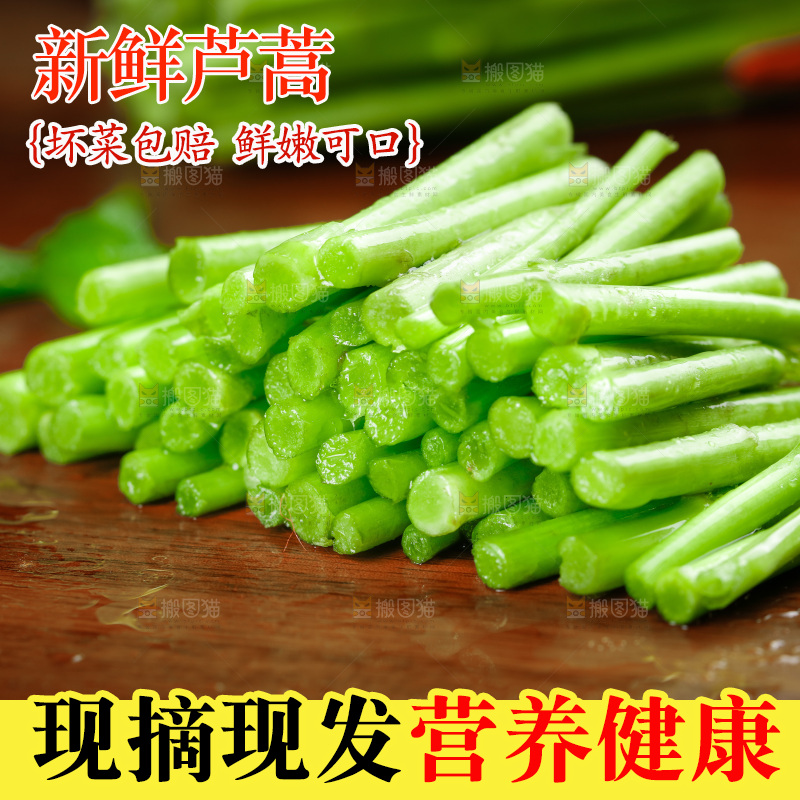 木底上的江西藜蒿