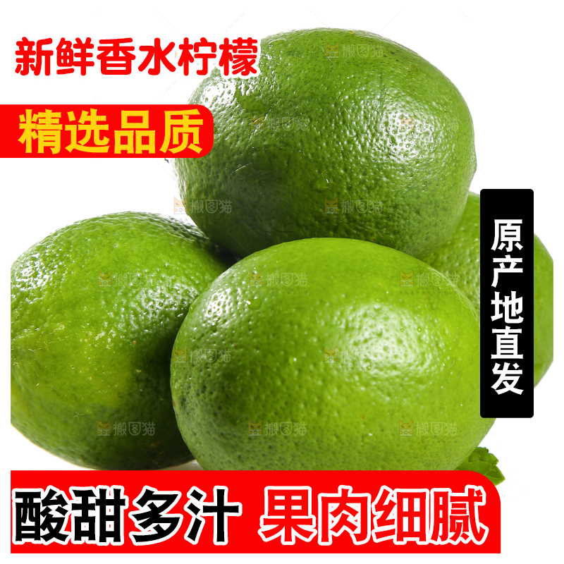 白底上的无籽香水柠檬
