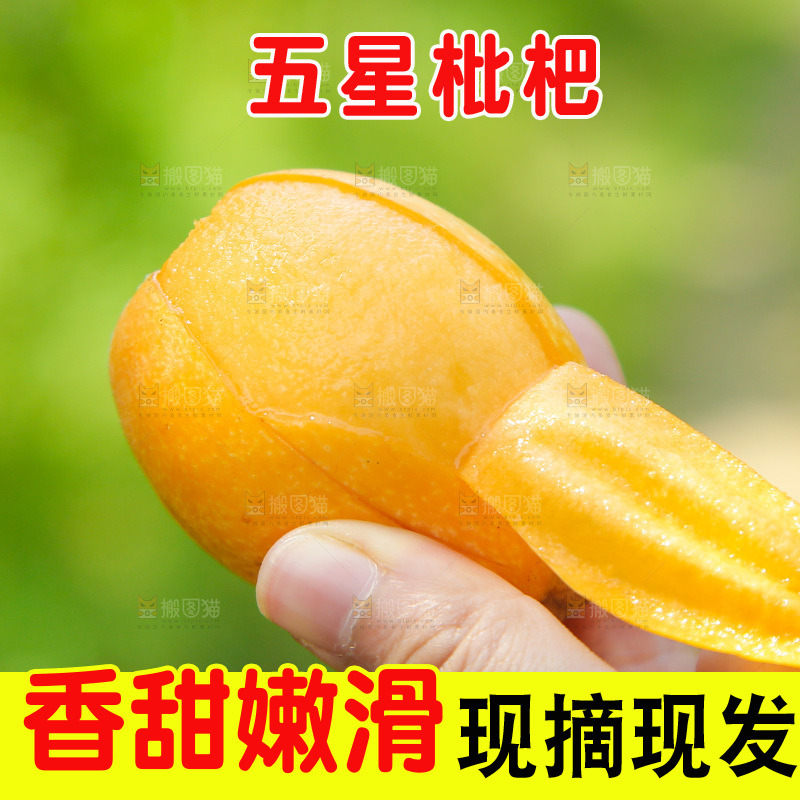 手里撕着皮的枇杷