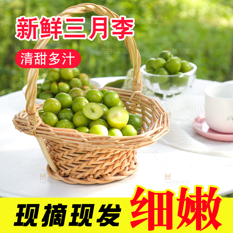 桌子上放着一篮钱排三月李