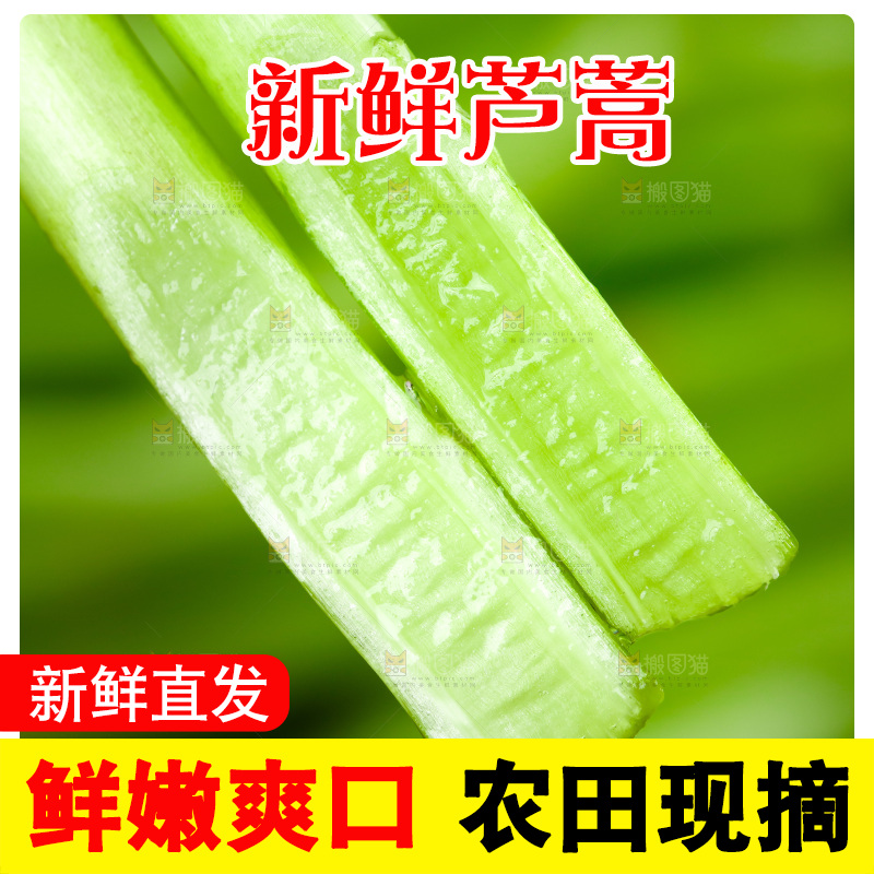 木底上的江西藜蒿