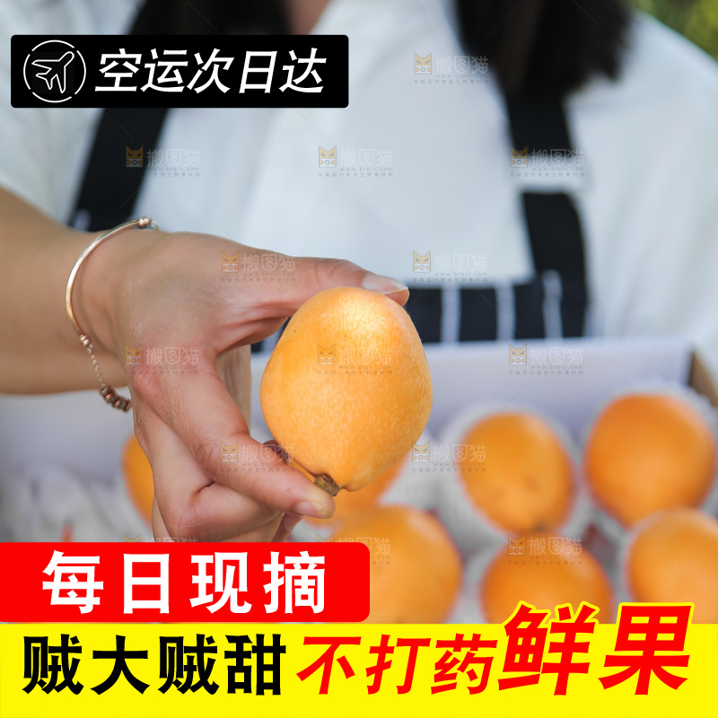 手里拿着五星枇杷