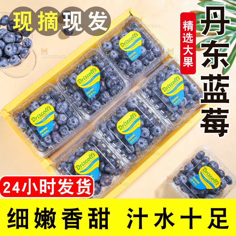 浅底上的新鲜蓝莓