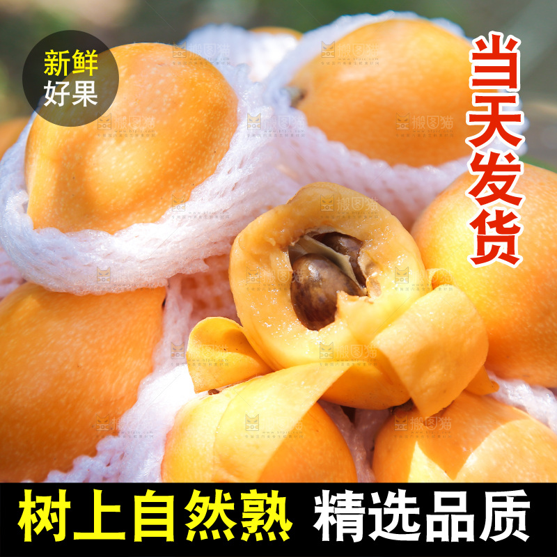 一堆米易枇杷