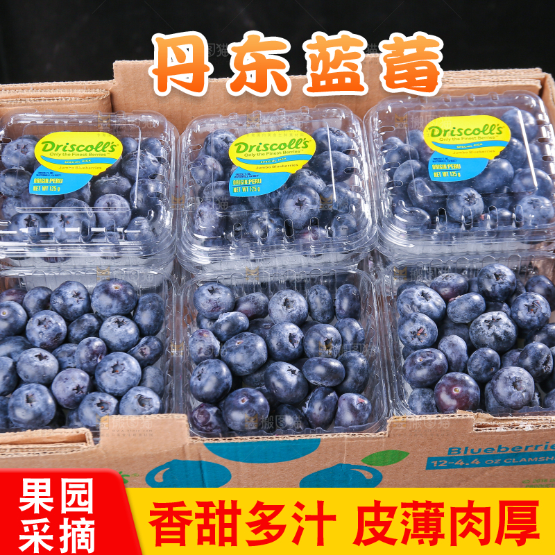 黑底上摆着的新鲜蓝莓