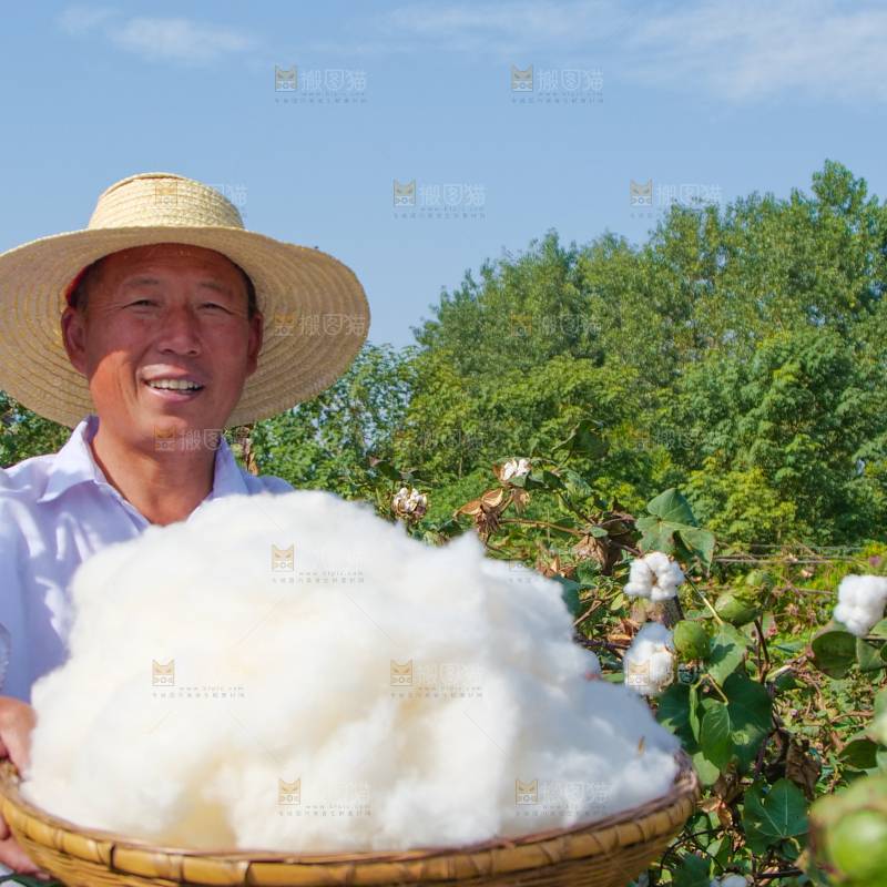 手里拿着棉花