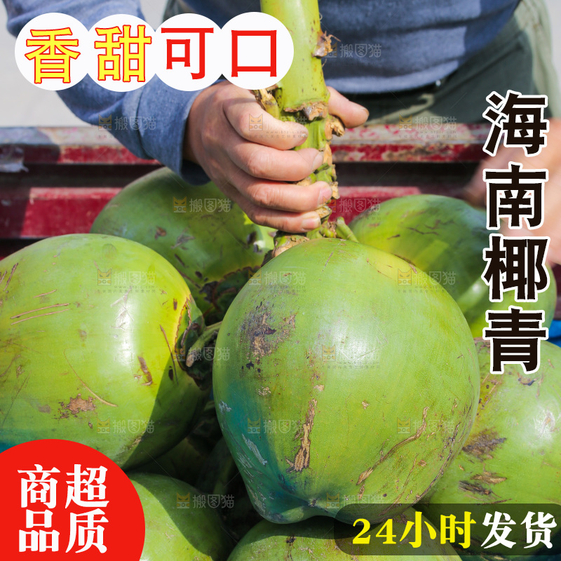 手里提着椰青