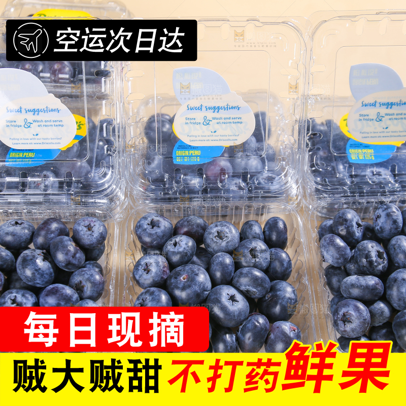 浅底上的新鲜蓝莓