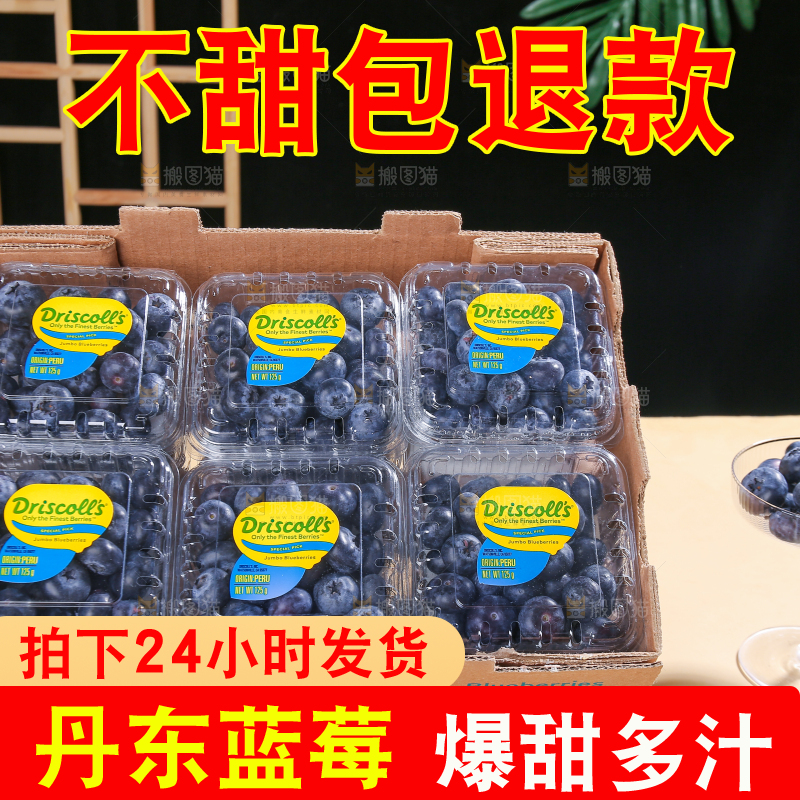 浅底上的新鲜蓝莓