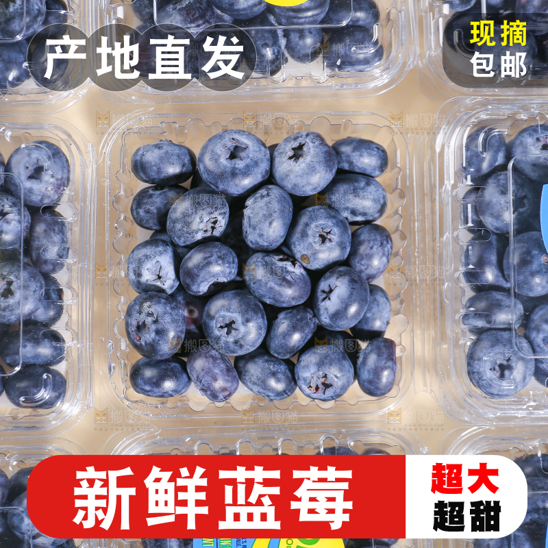 浅底上的新鲜蓝莓