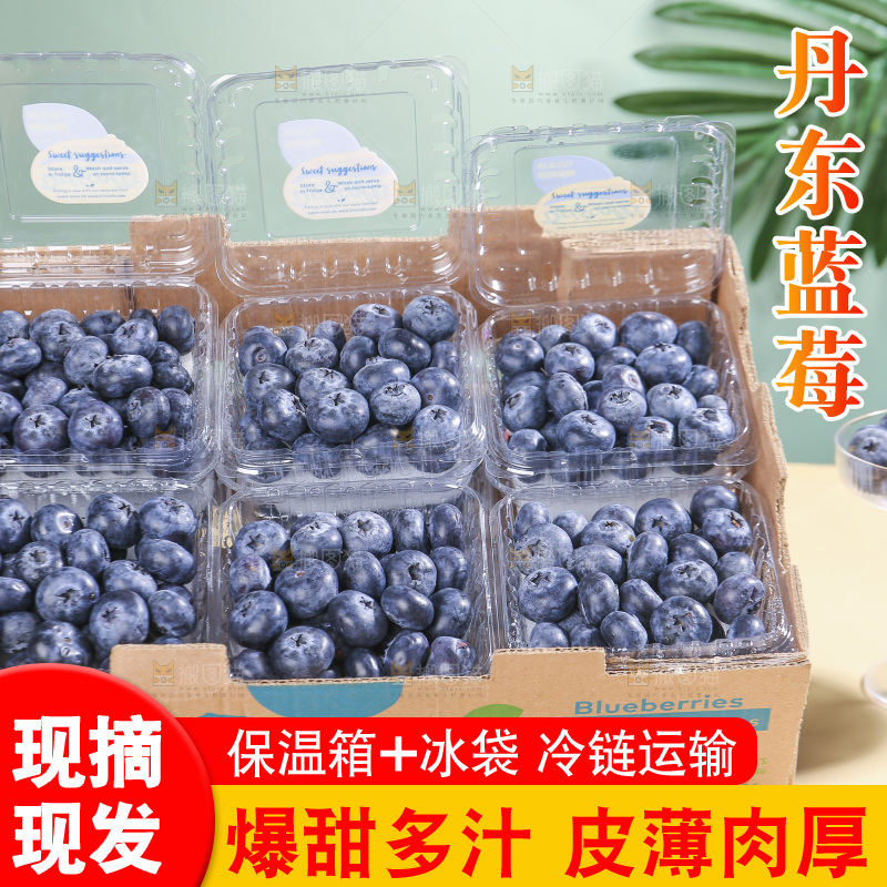 浅底上的新鲜蓝莓