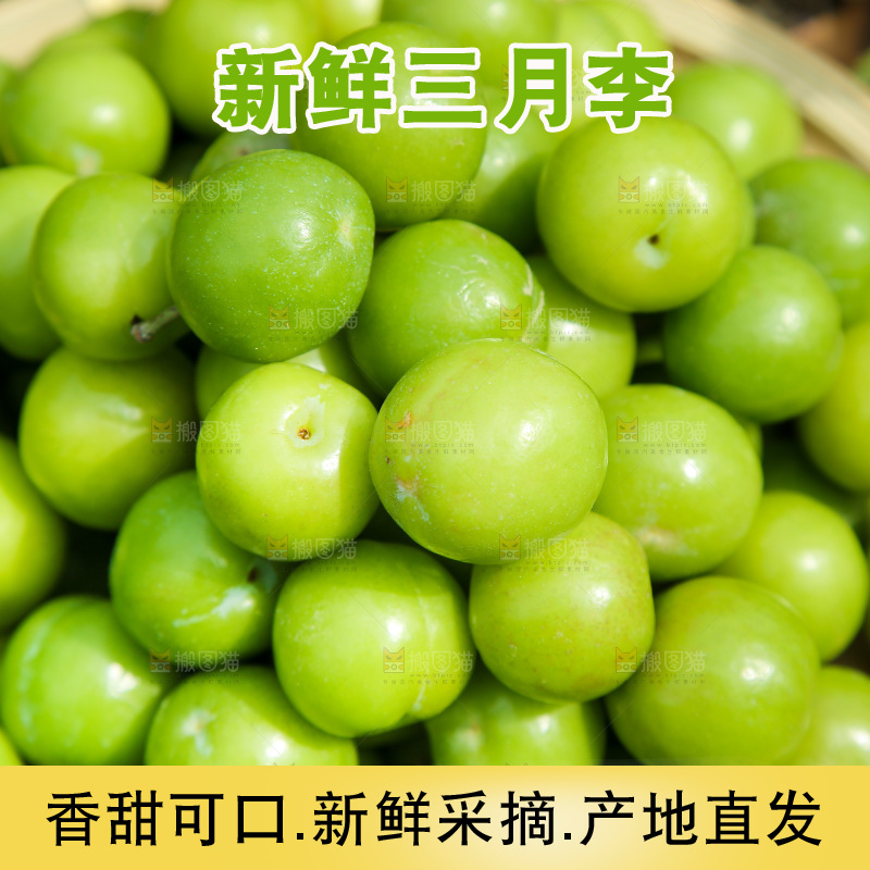 一篮青脆李