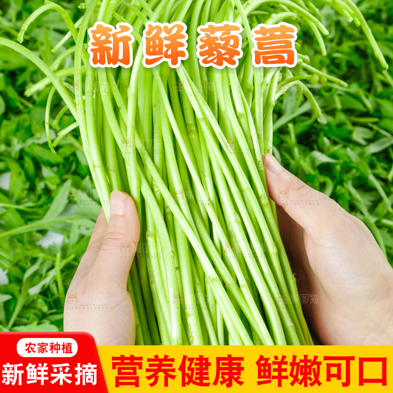白底上放着藜蒿