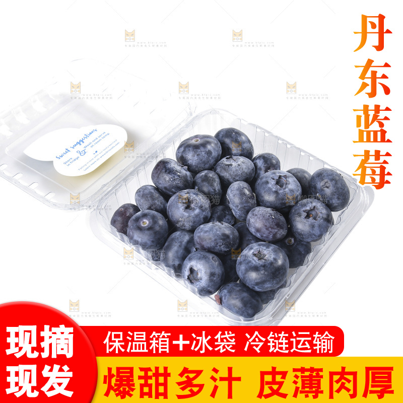 白底上放着的新鲜蓝莓