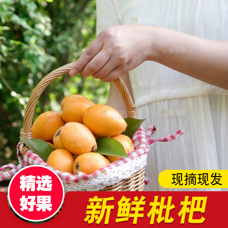 手提着一篮米易枇杷