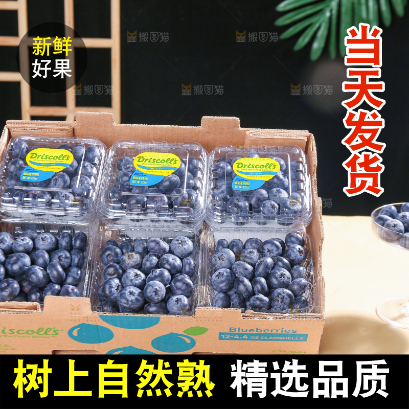 浅底上的新鲜蓝莓