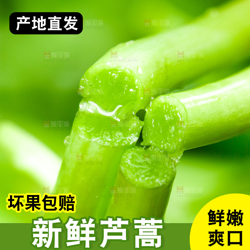 木底上的江西藜蒿