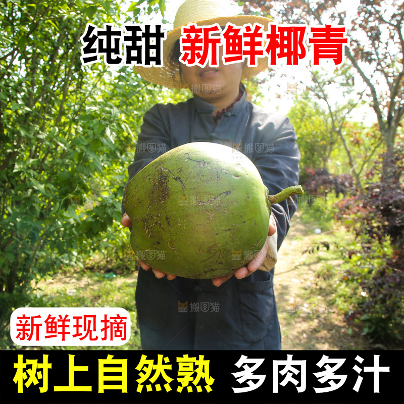 女人手里拿着带皮椰青