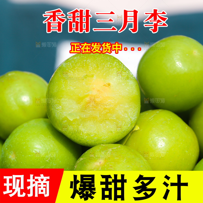 一堆钱排三月李