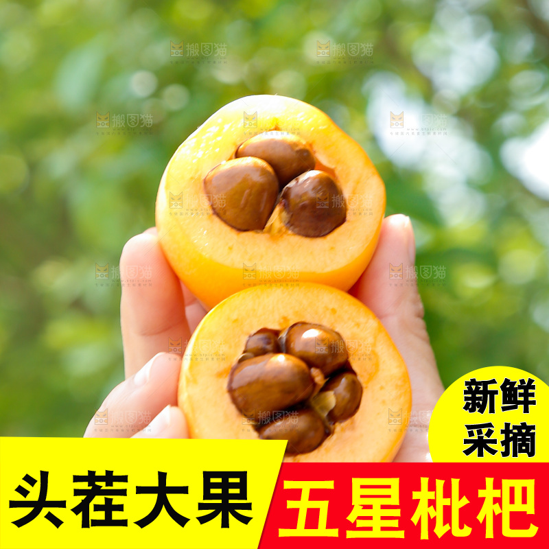 手里拿着切开的五星枇杷