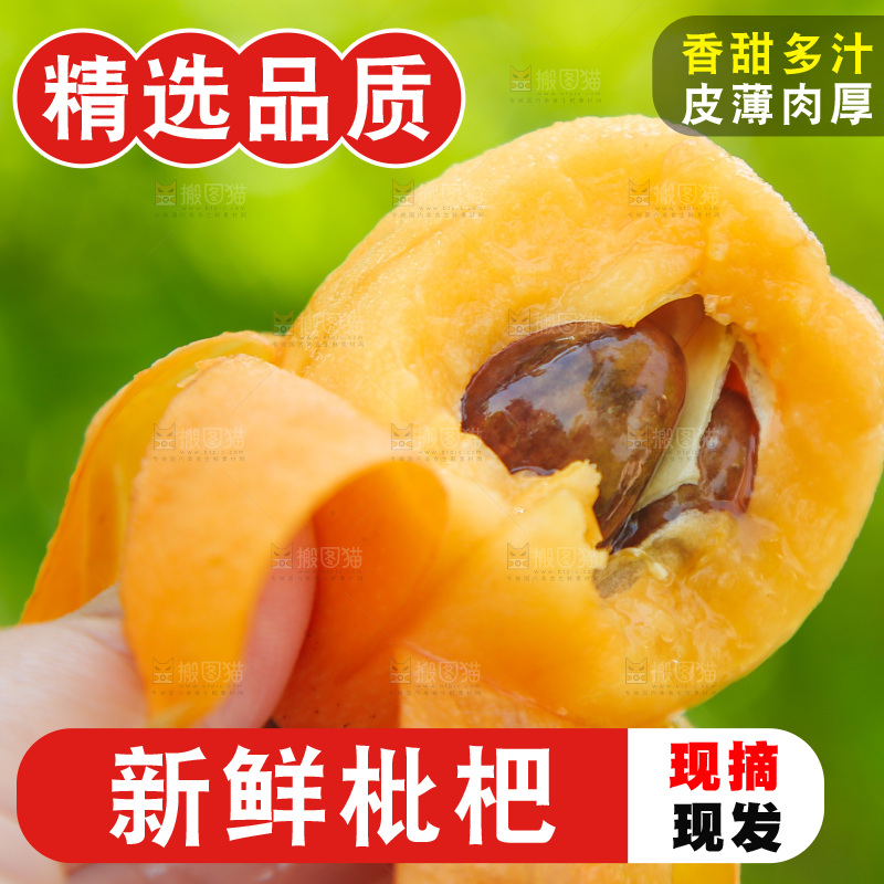 手里拿着大枇杷