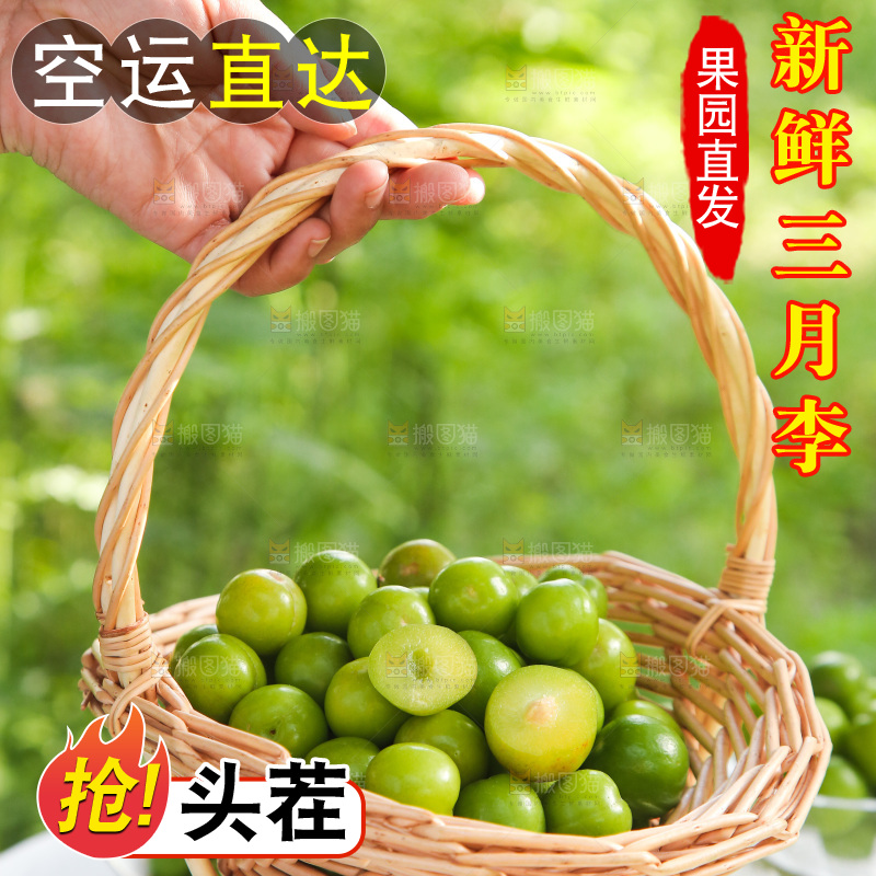 手里提着一篮三月李