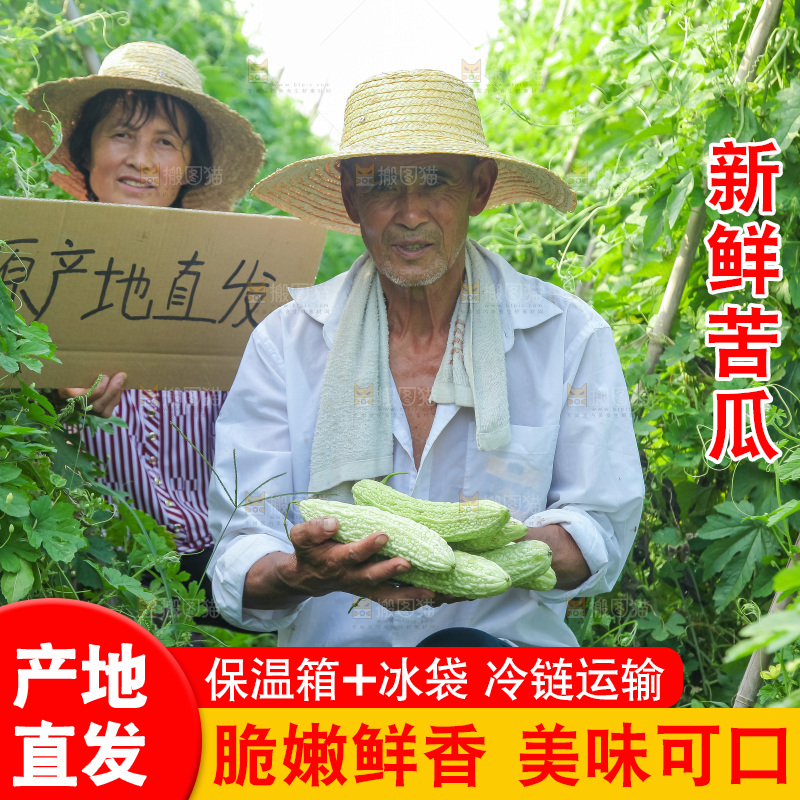 手里拿着新鲜苦瓜