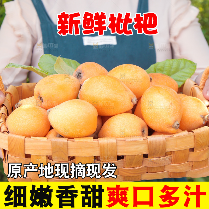 女孩手里端着一篮新鲜枇杷