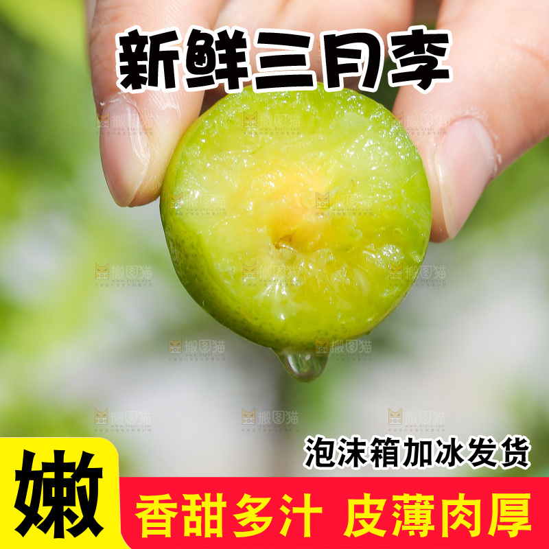 手里拿着三月李