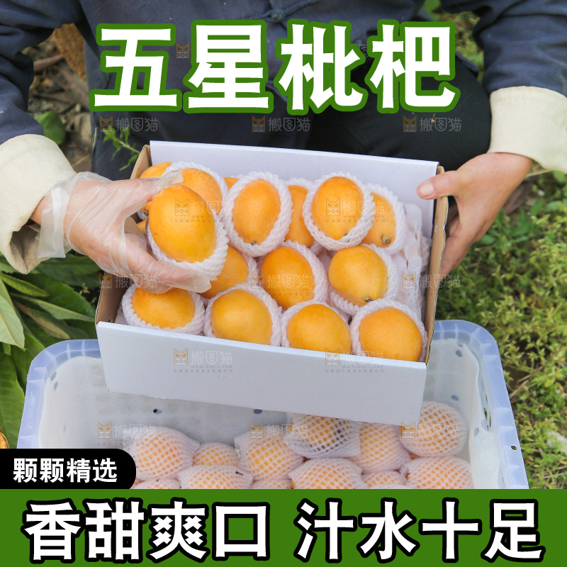 手里端着一箱五星枇杷