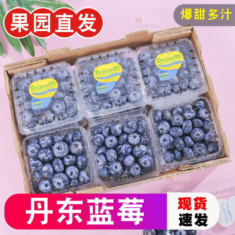 浅底上的新鲜蓝莓