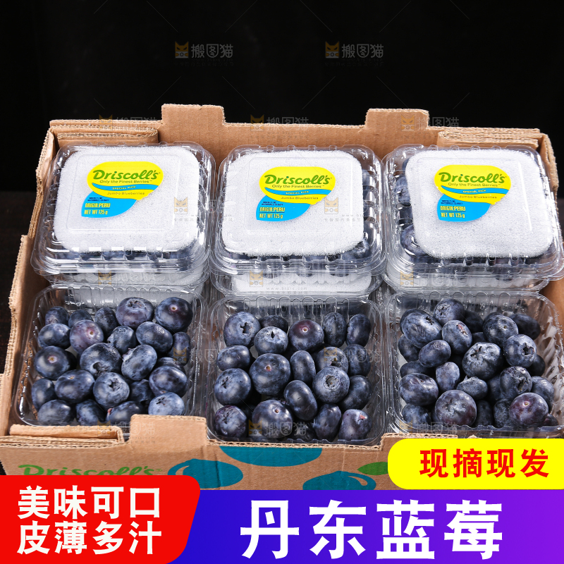 黑底上摆着的新鲜蓝莓
