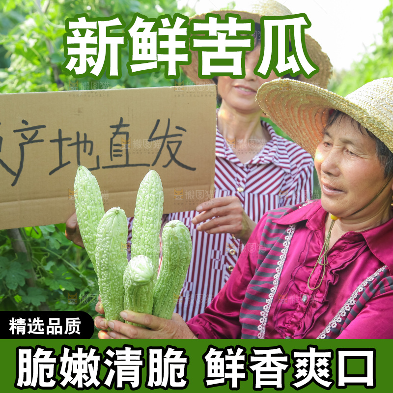 手里拿着新鲜苦瓜
