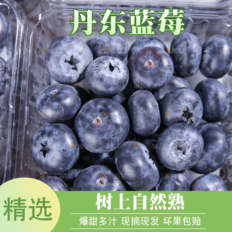 黑底上摆着的新鲜蓝莓