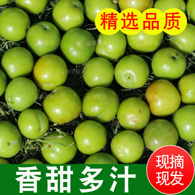 草地上放着一堆三月李