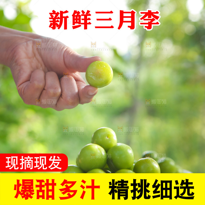 手上端着一盘三月李
