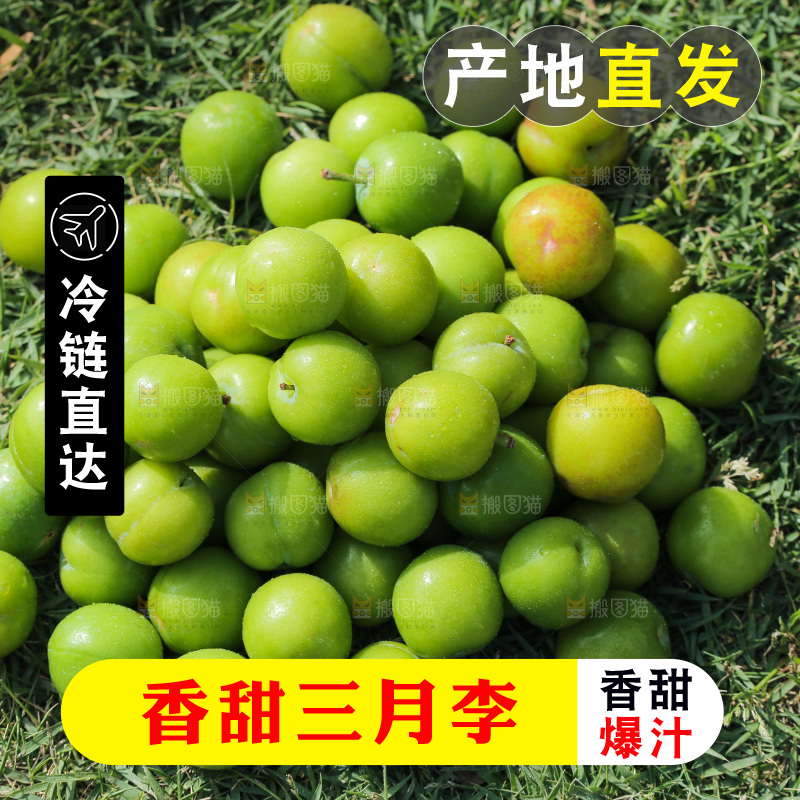 草地上放着一堆三月李