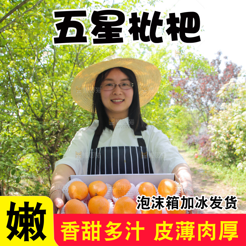 女孩手里端着一箱米易枇杷