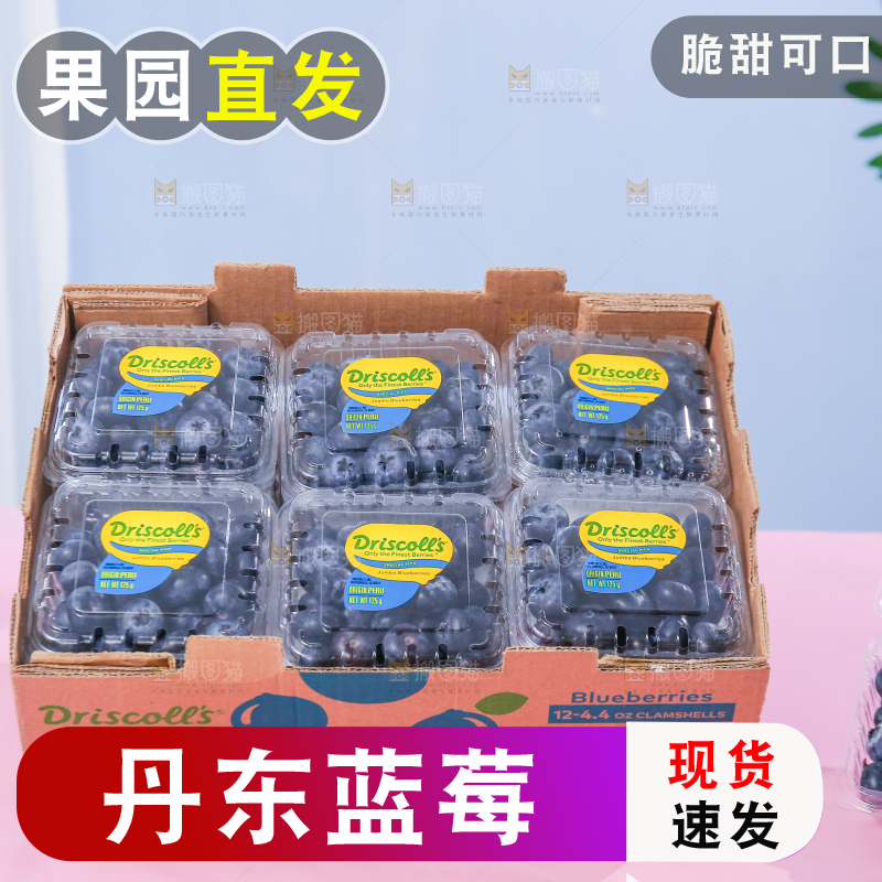 浅底上的新鲜蓝莓