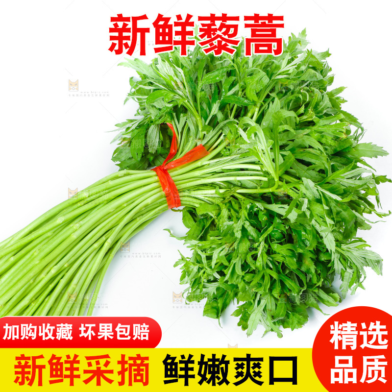 白底上放着藜蒿